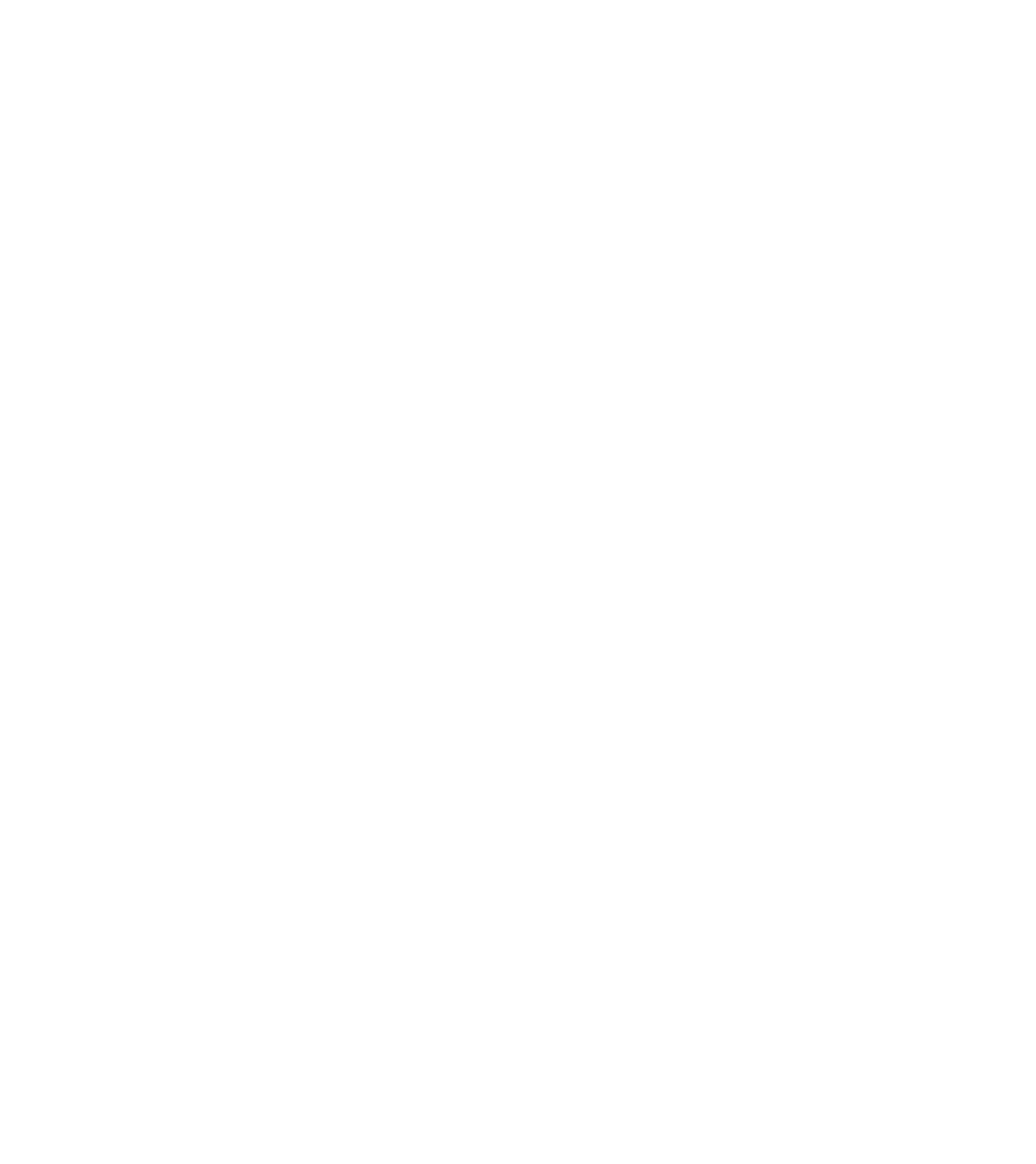 AFNOM Logo AFNOM Logo